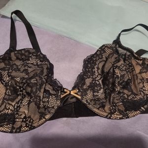 Fredericks of Hollywood 42D